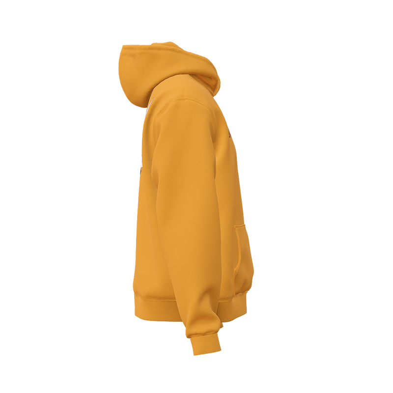 WESH HEAVYWEIGHT HOODIE IN GOLD